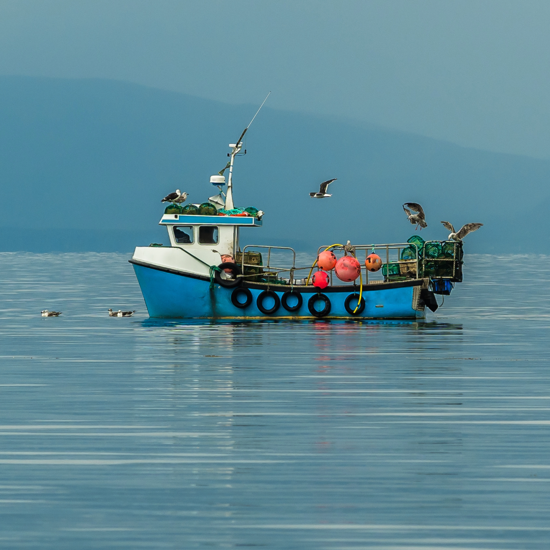 Exposure Marine Launches MOB Engine Cut-Off System for Solo Commercial Fishermen